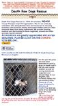 Mobile Screenshot of deathrowdogsrescue.com
